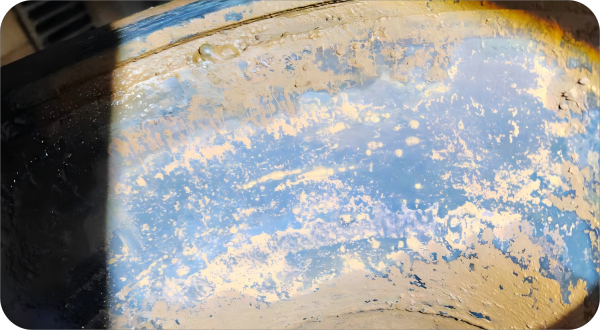 圖片 4(1)(1).png